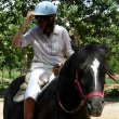 Equinoteràpia